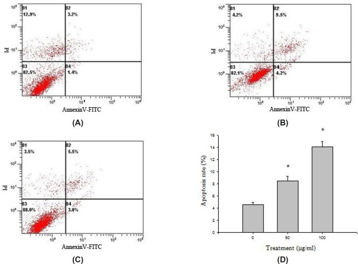 Detection of the percentage of apoptotic cells by flow cytometry. (A) control group, (B) high dose group, (C) low dose group, (D) effect of baicalin on HeLa cells apoptosis. *P<0.05 as compared with control group
