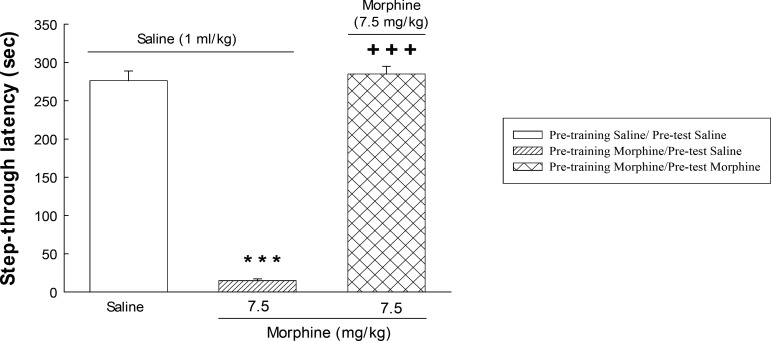 The effect of post-training administration of morphine on step-through latencies. The animals received post-training saline (1 mL/Kg, s.c.) or morphine (7.5 mg/Kg) and were tested after 24 h. Each value represents the mean ± S.E.M. of eight rats per group. ***P < 0.001 compared with the saline/saline group.+++P < 0.001 compared with the morphine/saline group.