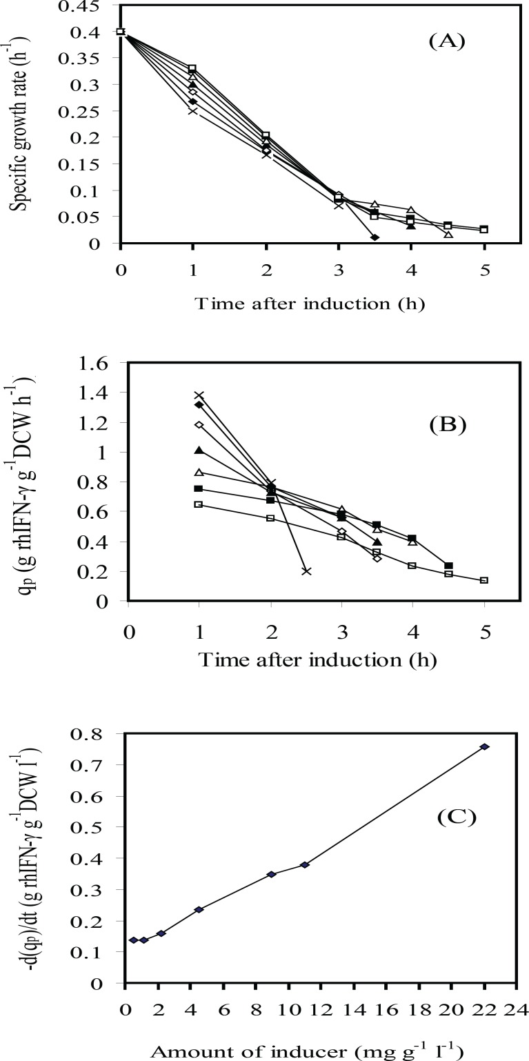 Time courses of several variables after induction: (A) specific growth rate (μ); (B) rhIFN-γ production rate (qp) and (C) rhIFN-γ production rate variation d(qp)/dt vs. IPTG concentration (g L-1 g-1 IPTG per DCW): 22(×); 11(♦); 9(◊); 4.5 (▲); 2.25(Δ); 1.13(■); 0.565(□)at fed-batch cultures of E.coli BL21 (DE3) (pET3a-ifnγ).