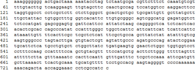 The nucleotide sequence of β-glucanase gene MKAFGlu1