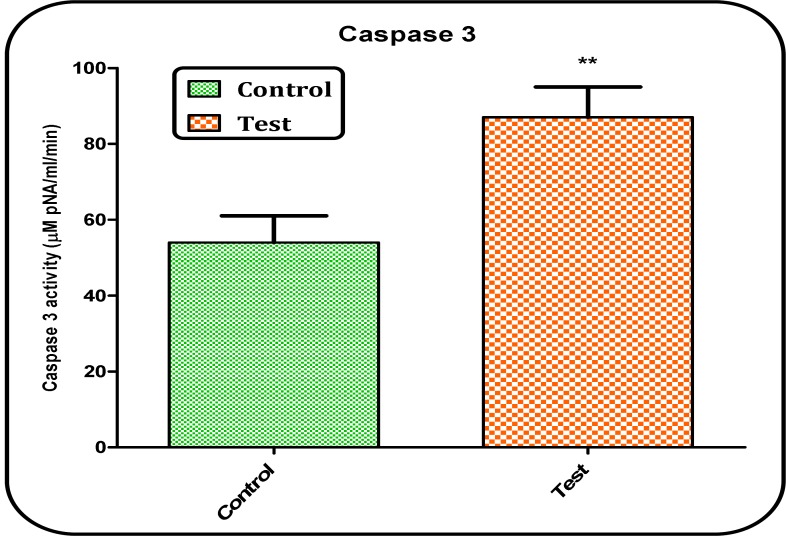 Determination of caspase-3 activity. Caspase-3 activity was determined by Sigma-Aldrich kit. The kit determines produced pNA that is released from the interaction of caspase-3 and AC-DEVD-pNA (peptide substrate). Values represented as mean ± SD (n = 3). ** (P < 0.01); significant difference compared with untreated control rat group