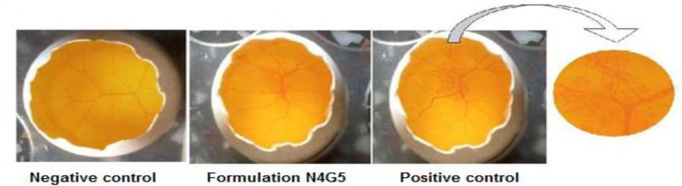 Images of HET-CAM test of N4G5 in-situ nanoparticulate gel of norfloxacin conducted on fertile eggs.