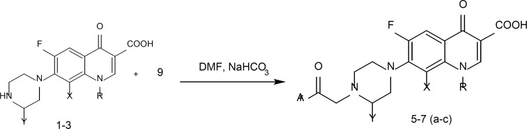 Synthesis of target compounds 5-7