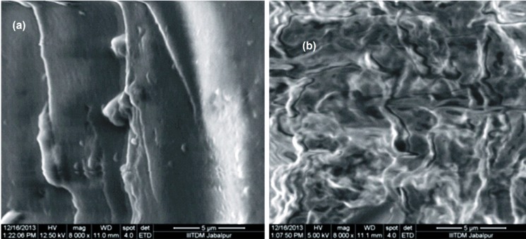 SEM images of egg albumin nanoparticlesInsulin loaded,and (b) unloaded