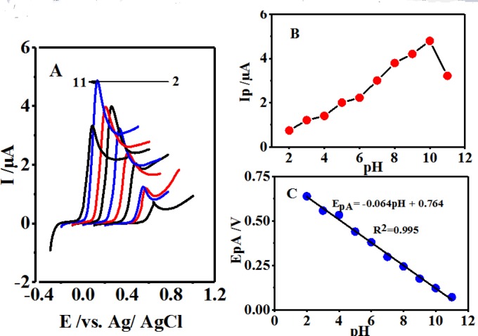 (A) Linear sweep voltammograms of 0.1 mM 4,4′-biphenol in the presence of CySH (0.5 mM) in buffer solutions with different pH values at a glassy carbon electrode. Scan rate 10 mV/sec. (B) Effect of pH on the oxidation peak current (IpA). (C) Effect of pH on the oxidation peak current (EpA). t = 25 ± 1 ºC