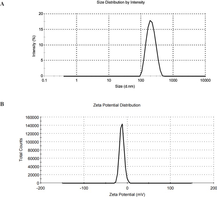 ( A) Size distribution of O1 formulation, PDI = 0.1, (B) Zeta potential of O1
