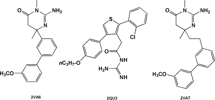 BACE-1 inhibitors including diphenylthiophene (2QU3) and biphenyl dihydropyrimidinone (2VA6 & 2VA7) scaffolds