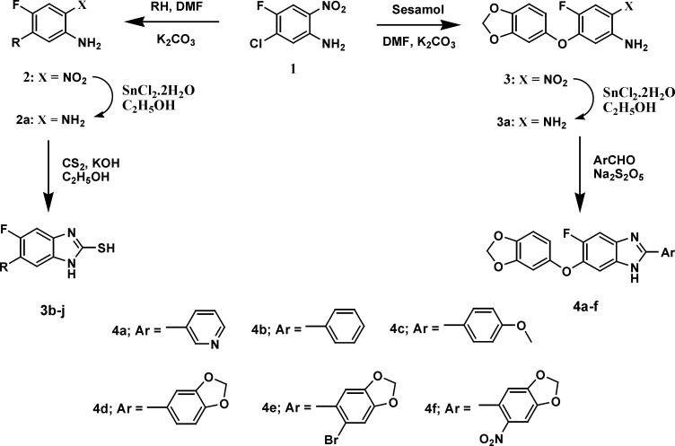 Synthesis of mercaptobenzimidazoles 3(b-j) and benzimidazole derivatives 4(a-f).