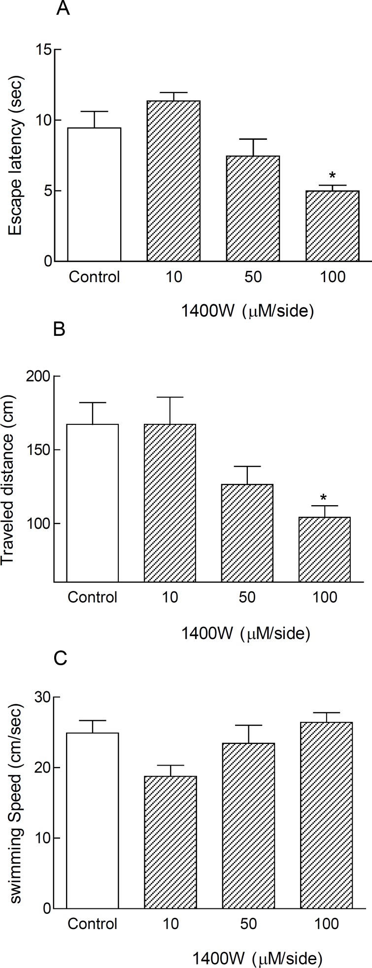 Treatment with 1400W as a selective iNOS inhibitor caused spatial memory improvement in cannulated non-anesthetized animals in MWM during testing trials. Inhibition of inducible nitric oxide synthase by bilateral intra-hippocampal infusion of 1400W (100 μM/side) via cannulas after surgical recovery, led to significant decrease in escape latency and traveled distance (*p < 0.05) in comparison with control group (Figures 1A and B). The swimming speed did not change significantly in all treated animals (Figures 1C). Each bar graph shows Mean ± SEM for 8 animals in each group