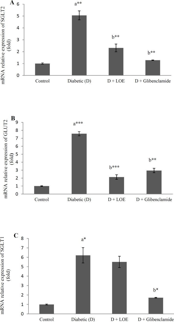 The effect of LOE on SGLT1 (A), and GLUT2 (B) mRNA relative expression in the kidney tissue and SGLT2 (C) and GLUT2 (D) mRNA relative expression in the jejunum tissue of diabetic rats. Data were presented as mean ± SEM (𝑛 = 6).