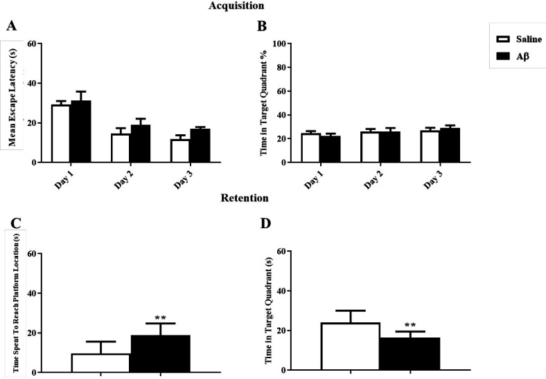 Effect of Amyloid Beta on reference learning and memory. (A and B) There was no significant effect on the reference learning test. (C and D) Aβ significantly damaged memory retention, **p < 0.01 compared to the control group
