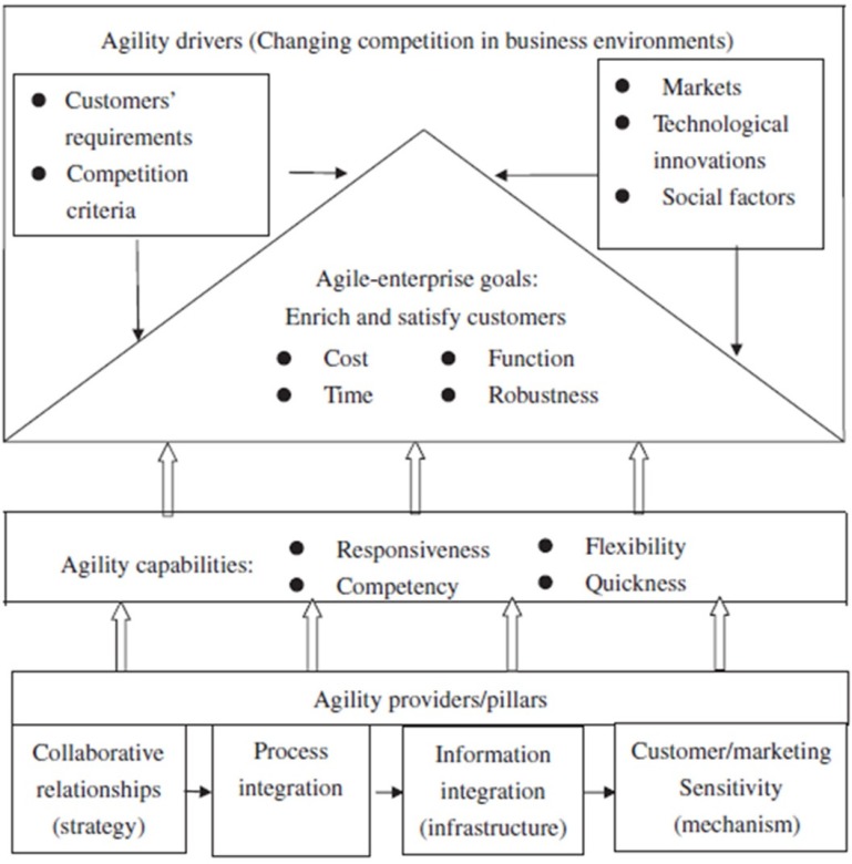 Components of an agile supply chain (29).