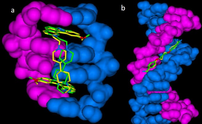 Lowest energy (bioactive conformation) poses of a) propamidine-DNA (1D32) and b) ditercalinium-DNA (102D) in docked (yellow stick) and crystallographic (green stick) complexes (DNA structure rendered in blue and pink as solvent-excluded surface) (RMSD for 1D32: 1.10 Å and RMSD for 102D: 1.05 Å)