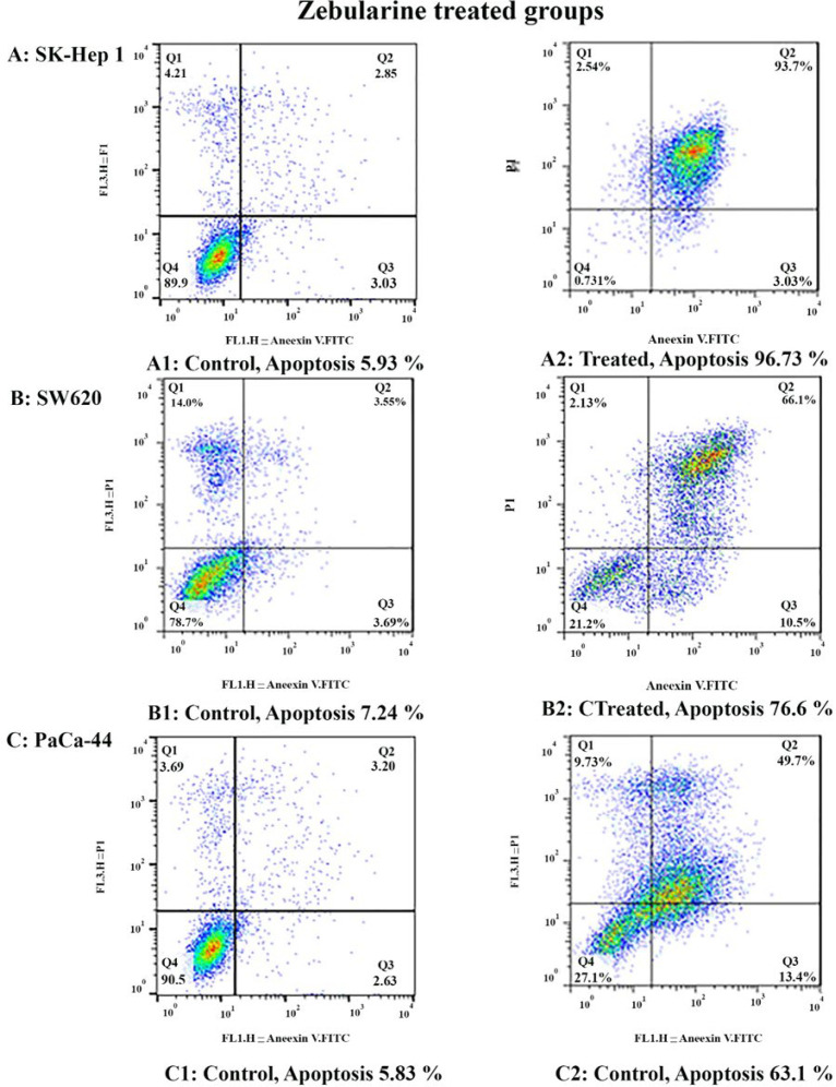 The apoptosis-inducing effect of zebularine was investigated by flow cytometric analysis of (A) SK-Hep 1, (B) SW620, and (C) PaCa-44 cells stained with Annexin V and propidium iodide. The result indicated that zebularine induced cell apoptosis after 24 h of treatment significantly
