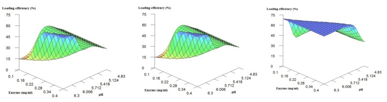3D Plots of loading efficiency predicted by the ANNs model fixed at low, medium and high levels of the buffer pH.