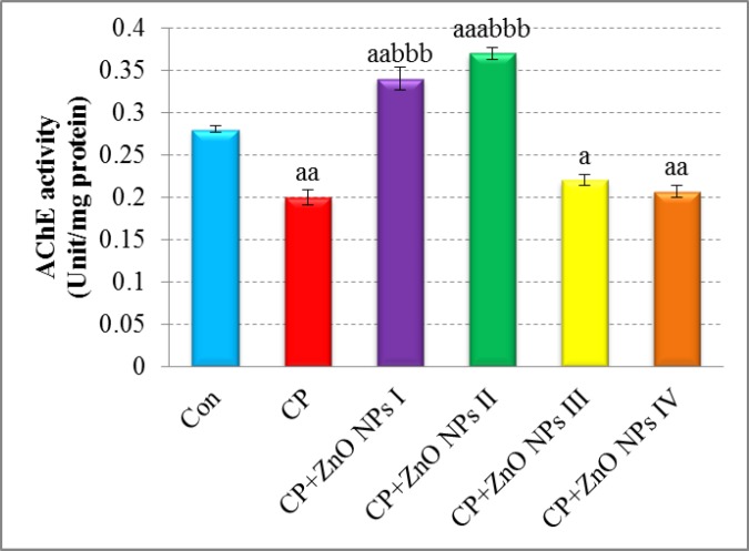 Effects of various concentrations of ZnO NPs in acetylcholinesterase (AChE) activity of isolated human lymphocytes in the presence of CP. Data are expressed as mean ± SEM. Significantly different from control at ap < 0.05, aap <0.01, aaap < 0.001. Significantly different from CP at bbbp < 0.001.