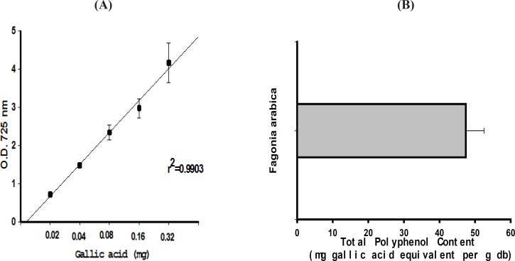 (A) Concentration-response curve at the absorbance of 725 nm for gallic acid standards with r2 = 0.9903. (B) Total polyphenol content of F. arabica based on the results obtained from the Folin-Ciocalteu phenol assay (mean of 3 different experiments ± SEM).