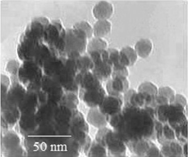 Transmission electron microscopy image of zinc oxide nanoparticles. The picture has been reproduced by permission from the Springer (License number 4082521300825) (47).