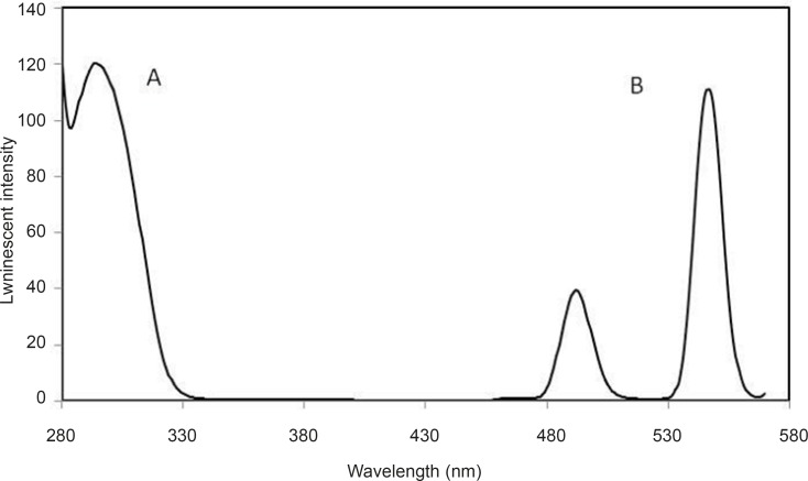 Luminescence excitation (A) and emission (B) spectra of: Tb3+-DFP complex. Experimental conditions: [Tb3+] = 105- M; [DFP] = 7.2 × 10 -6 M; pH = 7.5; λex /λem=295 nm/545 nm
