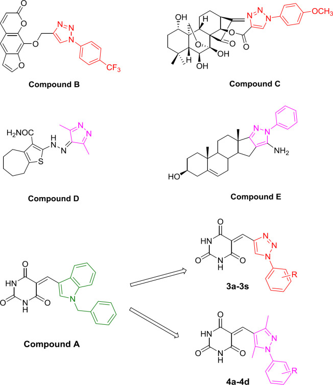 Design of target compound 3a-3s and 4a-4d