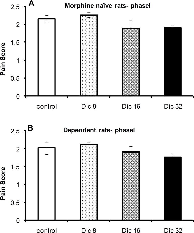 Pain scores during phase I of the formalin test in morphine-naïve (A) and morphine-dependent (B) groups. The data are expressed as the mean±SEM