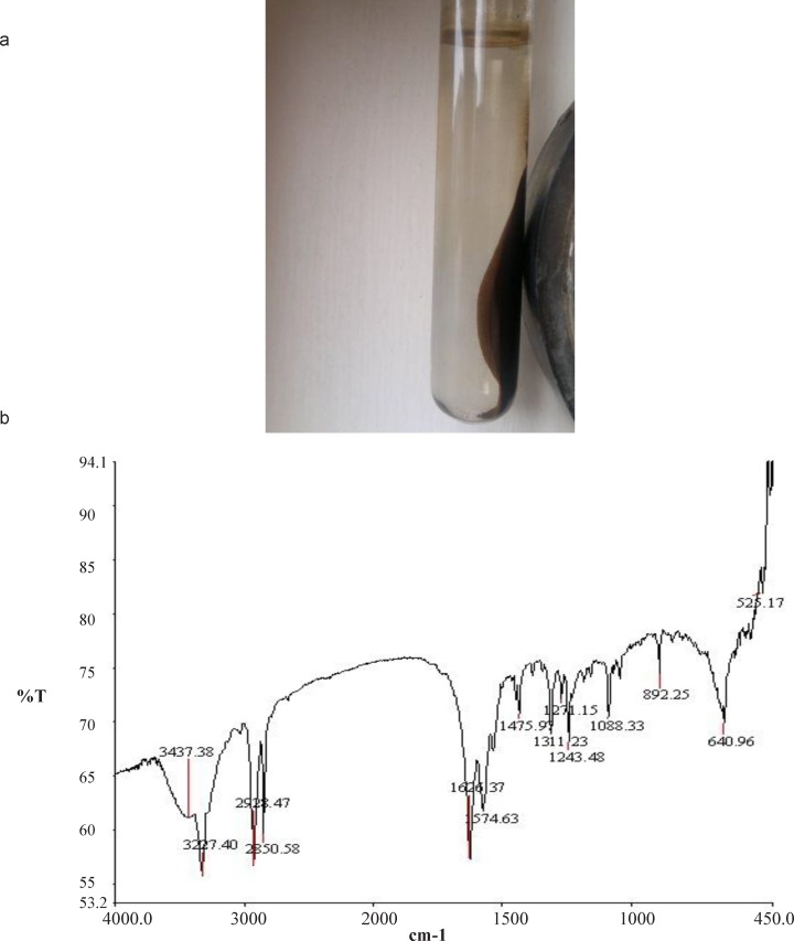 (a) Image of PEG-FA-SMWCNT@Fe3O4 with external magnetic field, (b) FTIR spectra of PEG-FA-SMWCNT@Fe3O4
