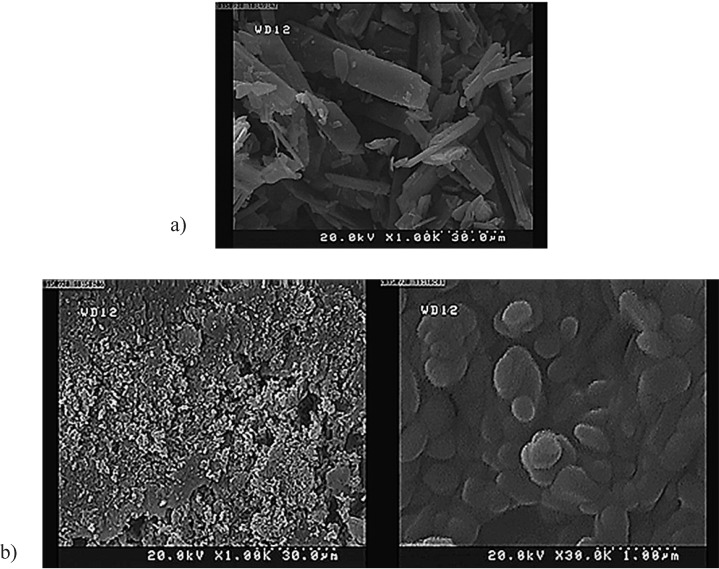 FE- SEM image of (a) raw tadalafil and (b) tadalafil nanocrystals under the optimum condition
