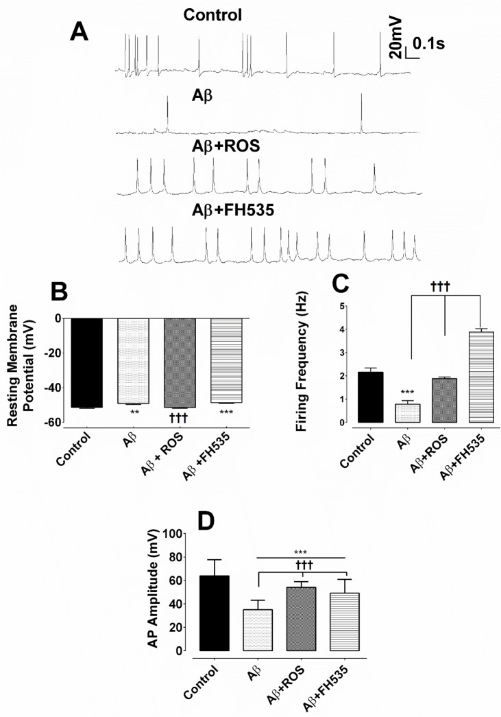 Alterations of resting membrane potential and firing responses following exposure to Aβ, combined application of either Aβ and rosiglitazone or Aβ and FH535. (A) Representative traces of current clamp recordings indicating spontaneous firing activity of cultured pyramidal neurons for each experimental groups at 14 days in-vitro. (B) Exposure to Aβ alone and Aβ + FH535 led to a membrane depolarization compared to control and Aβ+ rosiglitazone. (C) Firing frequency was also affected by Aβ and combination treatment with either rosiglitazone or FH535. (D) Histograms of average amplitude of AP in different experimental conditions. ** and*** indicate P < 0.01 and P < 0.001 versus control neurons and ††† indicates P < 0.001 versus Aβ alone-treated neurons