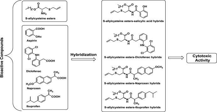 Design of hybrids of S-allyl Cysteine methyl ester-based non-steroidal anti-inflammatory drugs as anti-cancer agents