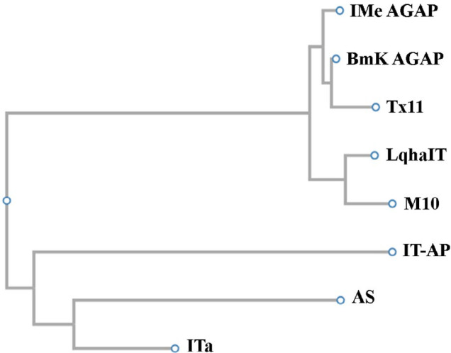 Results of phylogenetic studies that have been achieved by Clustal w server