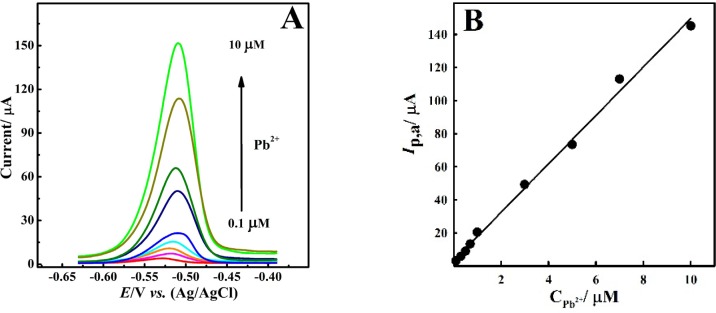 (A) DPASVs for different Pb2+ ion concentrations in the range of (down to up) 0.1 - 10 μM, at the CNT/CPE and 50 μM Bi3+ in 0.1 M HNO3, Ed = -0.9 V and td= 60 s. (B) Corresponding linear calibration curve of Ip,avs. Pb2+ ion concentration