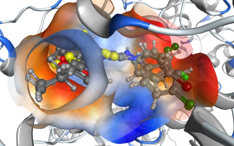 The lipophilicity map of the binding site of COX-2 enzyme with compounds 5a, 5g, 5h, 5i and 5j. The more lipophilic parts (in red), hydrophilic parts (in blue) and moderate lipophilic parts (in orange
