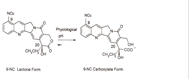 Chemical structures and equilibrium reaction between the lactone and carboxylate forms of 9-nitrocamptothecin (9-NC).