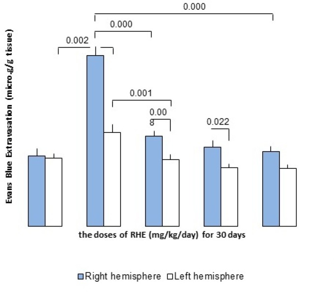 the effect of RHE pretreatment for 30 days on regulation of BBB integrity including left and right hemisphere of control and experimental groups (RHE at the doses of 50, 75 and 100 mg/Kg/day-pretreated MCAO) as compared to the sham-operated group (n = 6).