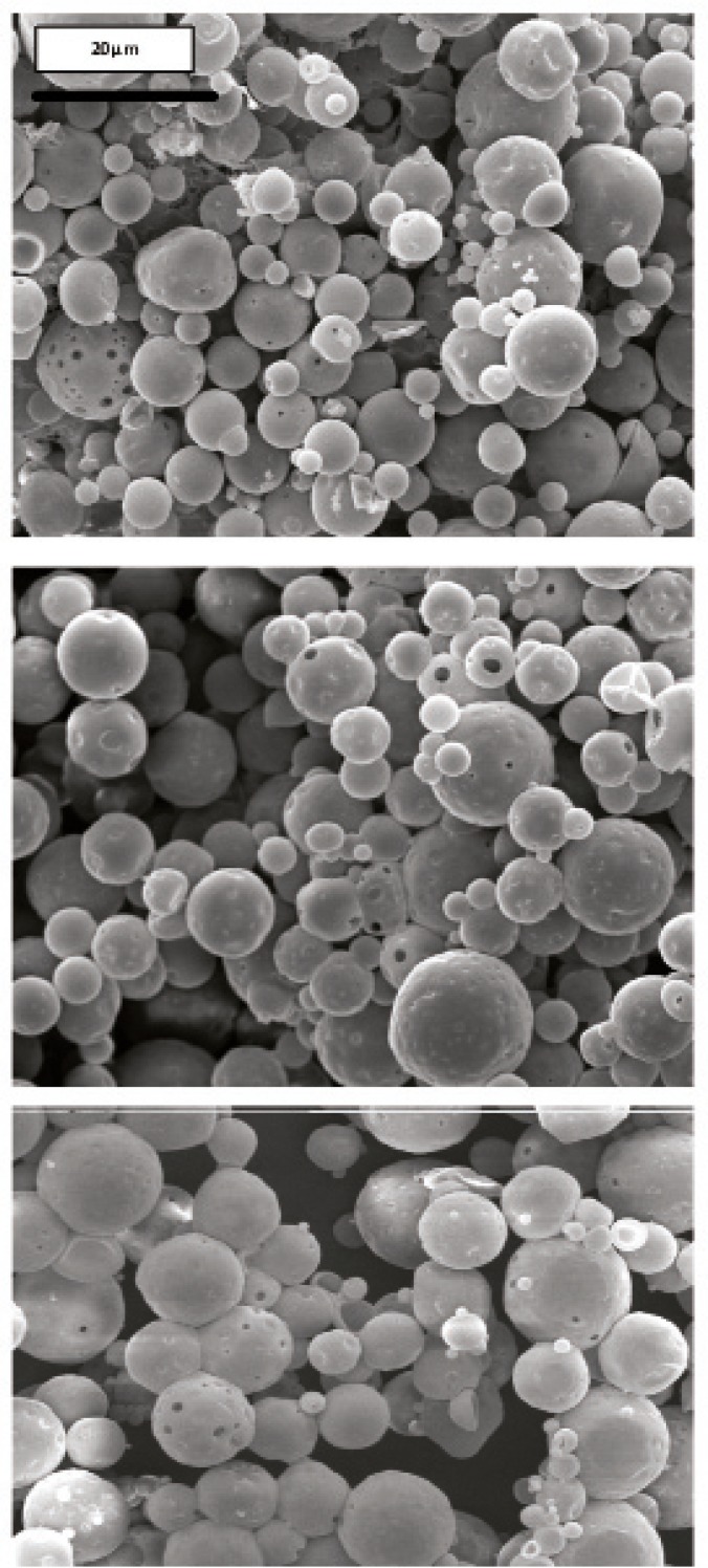 Scanning electron micrograph of G microspheres after incubation for 3 h at 37°C in SGF-a followed by a 6-hr incubation at 37°C in SIF-a