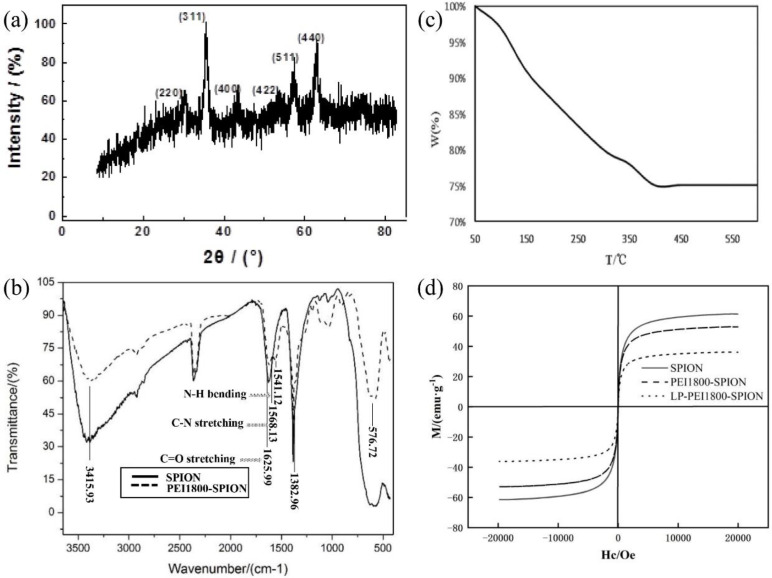 Characterization of SPION, PEI1800-SPION and LP- PEI1800-SPION, (a) SPION X diffraction pattern (b) FTIR spectrum of SPION and PEI1800-SPION (c) Thermogravimetric analysis of PEI1800-SPION (d) Magnetic hysteresis loops of SPION, PEI1800-SPION and LP- PEI1800-SPION