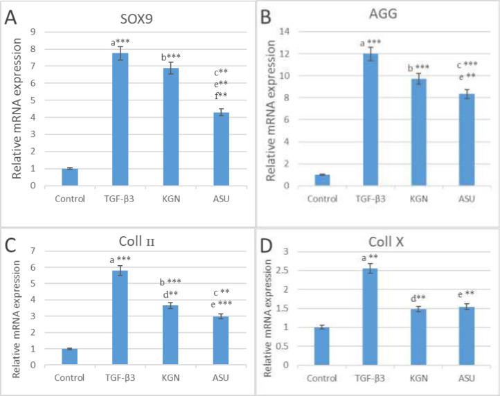 The results of (A) SOX9, (B) AGG, (C) Coll II and (D) Coll X genes expression in control, TGF β3, KGN and ASU groups 14 days after the culture of hADSCs. Data are presented as mean ± SD. Error bars represent the standard deviation of the mean. *P < 0.05, **P < 0.01, ***P < 0.001. RQ (Relative quantification) indicates the relative level of gene expression. aDifference between control and TGF-β3. bDifference between control and KGN. cDifference between control and ASU. dDifference between TGF-β3 and KGN. eDifference between TGF-β3 and ASU. fDifference between KGN and ASU