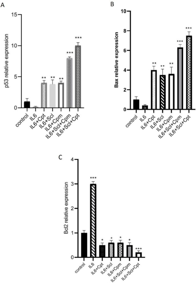 The effect of sclareol (Scl) alone or in combination with either cyclophosphamide (Cpm) or cryptotanshinone (Cpt) on IL-6-induced modulation of apoptotic genes expression including p53 (A), BAX (B) and Bcl-2 (C). The presented data are mean ± SD of at least three separate experiments. The obtained values were compared with the control. Treatment with IL-6 served as positive control