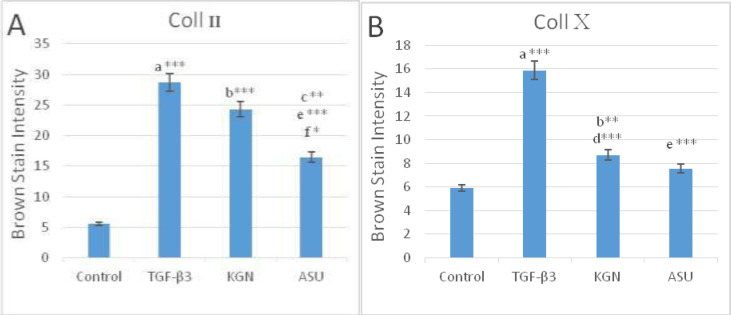 Color intensity demonstrated the deposition of (A) type II and (B) type X collagen protein in control, TGF-β3, KGN and ASU treatment groups. Data are presented as mean ± SD. Error bars represent the standard deviation of the mean. *P < 0.05, **P < 0.01, ***P < 0.001