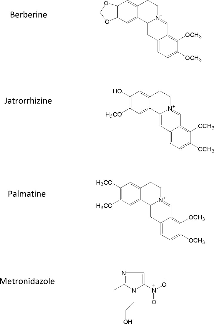 Chemical structure of berberine, jatrorrhizine, palmatine and metronidazole (I.S.).