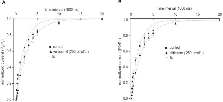 Effects of verapamil (A) and diltiazem (B) on the kinetics of the fKv1.4ΔN channel recovery from steady inactivation. The degree of recovery was measured by following a standard variable interval gapped pulse protocol. An initial 5-second pulse (P1) from –90 to +50 mV was followed by a second pulse (P2) to +50 mV after an interval of between 0.1 and 20 sec. The ratio of the peak current elicited by the P1 and P2 pulses (P2/P1) is plotted as a function of the various interpulse intervals. The continuous line represents the fit of the data to the equation: f = 1 - A*exp(–τ/t), where t is duration (in sec), τ is the time constant, A is the amplitude of the current. Data were normalized between 0 and 1 presented with intervals on a log scale. Data are shown as mean ± SEM (n = 5).