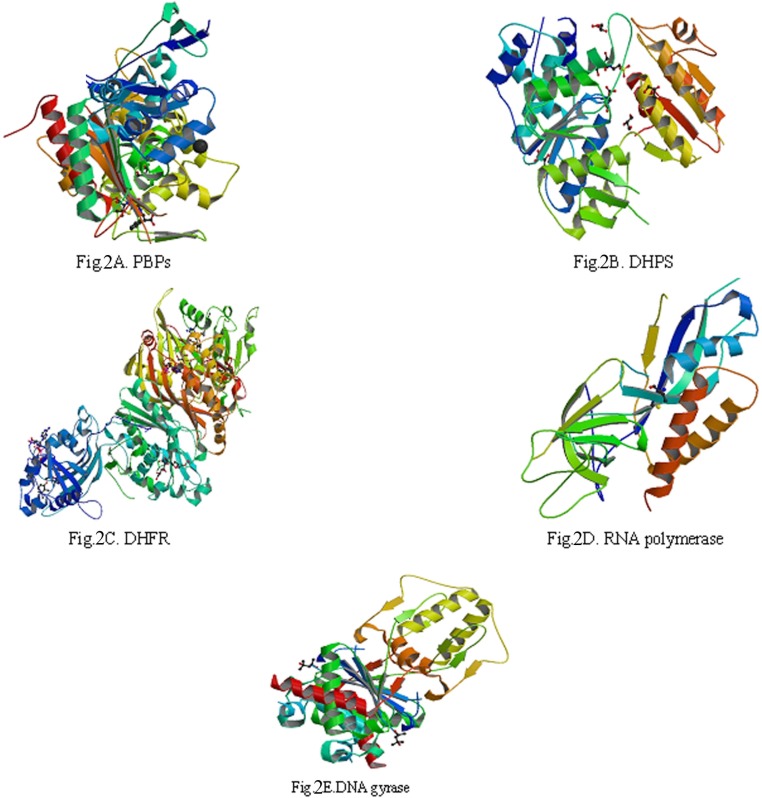 The three-dimensional (3D) structures of 5 enzymes (receptors