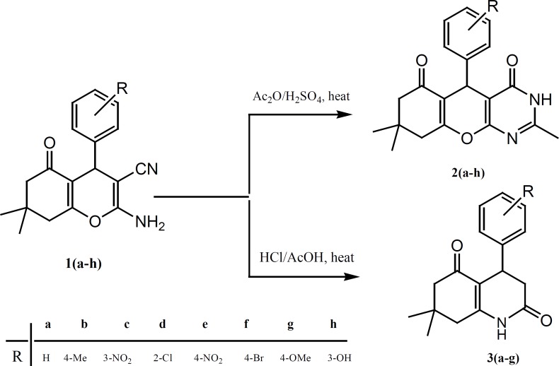 The synthetic pathway for preparation of pyrano[2,3-d]pyrimidine derivatives 2(a-h) and tetrahydro quinolone dione derivatives 3(a-g).