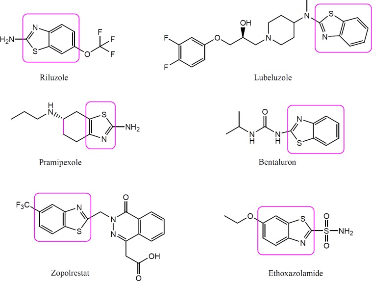 Chemical structures of few drugs containing benzothiazole nucleus