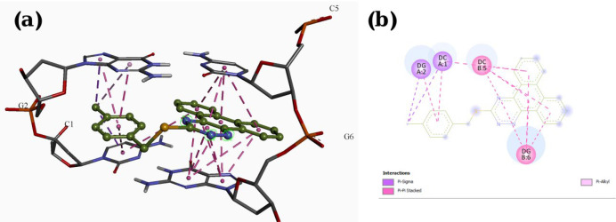 Docking result and interactions of compound P15 with DNA base pairs in (a) 3D and (b) 2D representation. (G: deoxyguanine, C: deoxycytidin)