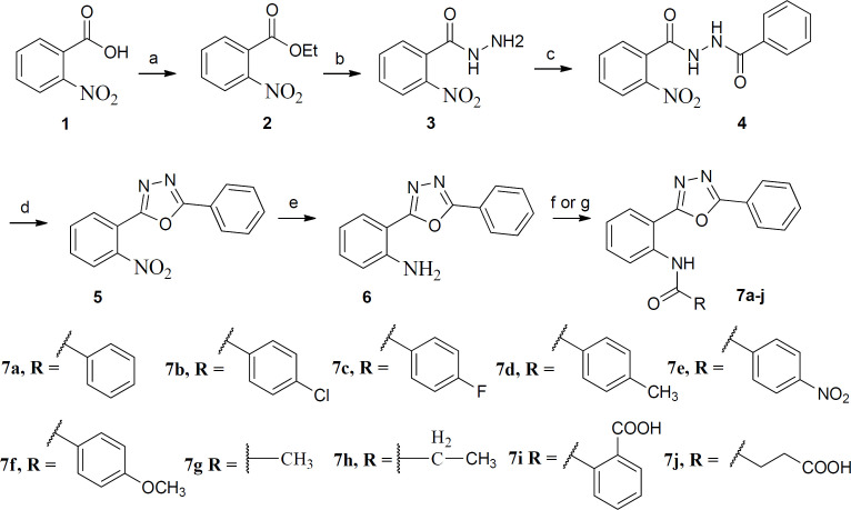 Reagents and conditions: (a): conc. H2SO4, absolute ethanol, reflux, 24 h; (b): NH2NH2, absolute ethanol, rt, 18 h; (c): Benzoyl chloride, anhydrous Na2CO3, dry dioxane, rt, 14 h; (d): SOCl2, pyridine, microwave, 5 min; (e): SnCl2, DMF, rt, 18 h; (f): Benzoyl chlorides, anhydrous Na2CO3, dry dioxane, rt, 18- 48 h; (g): Phthalic anhydride or Succinic anhydride, toluene, reflux, 72 h
