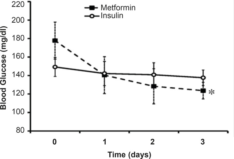 Effects of intensive insulin-therapy or metformin oral administration on blood sugar levels.Day 0 shows the BS levels before the beginning of each protocol. Data were expressed as mean ± SEM. *: p < 0.01 in comparison with BS levels obtained before the onset of metformin treatment