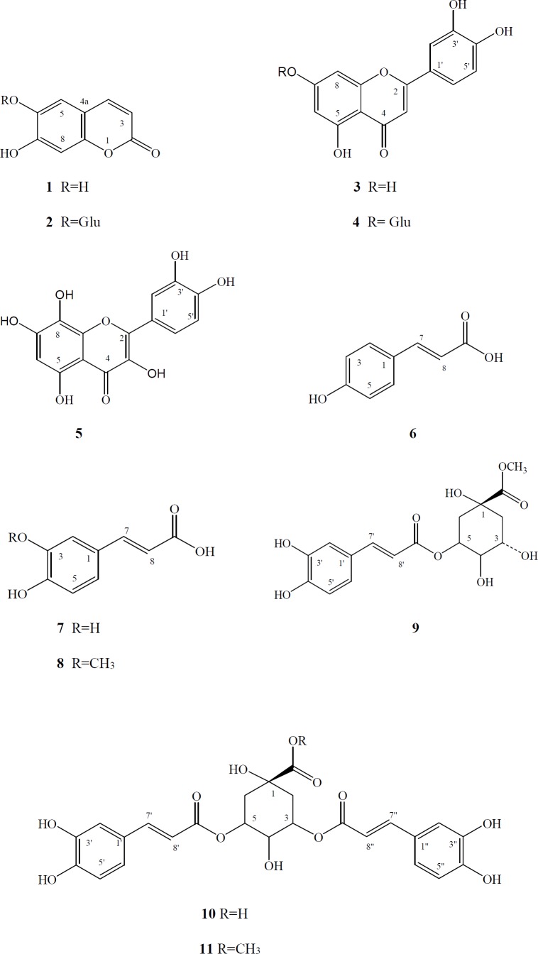 Structures of compounds 1-11 isolated from Taraxacum bessarabicum subsp. bessarabicum