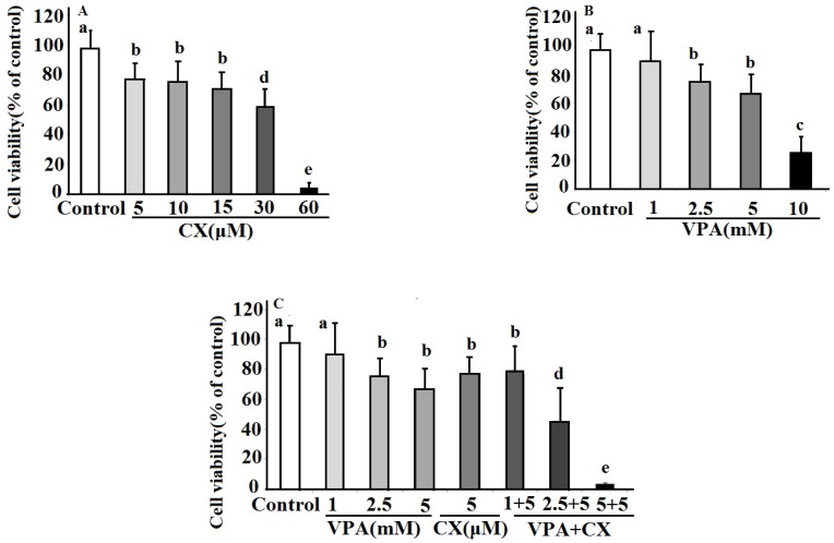 The effects celecoxib (CX), sodium valproate (VPA) and combination of both drugs (VPA+CX) on viability of BCPAP cells using MTT assay. The represented data are mean ± SD of at least three independent experiments and were analyzed using one-way ANOVA followed by Tukey’s post-hoc test. In each figure, groups indicated with different letters (a, b, c, d and e) had statistical significant differences at P < 0.05.