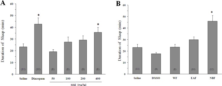 Effect of Lactuca sativum hydro-alcoholic extract (HAE) and its fractions on sleep duration in mice. (A) *p < 0.001 vs saline. (B) The animals were treated with 200 mg/Kg of HAE or its water fraction (WF), ethyl acetate fraction (EAF) and n-butanol fraction (NBF). *p < 0.01 vs DMSO. Data represent mean ± SEM of the numbers shown in parentheses.